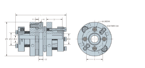 LK 15 Series Verriegelungseinrichtungen Kupplung (Doppelfederteller)